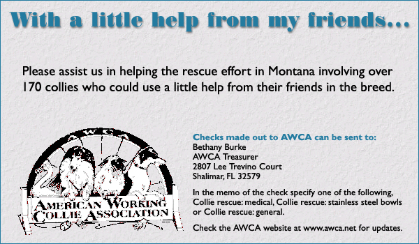 AWCA -- With a little help from my friends. . .