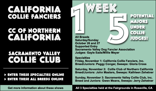 California Collie Fanciers/CC of Northern Cal./Sacramento Valley CC -- Oct. 26 - 27, Nov. 1 - 3 