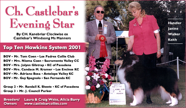 Castlebar Collies -- Ch. Castlebar's Evening Star