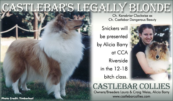 Castlebar Collies -- Castlebar's Legally Blonde