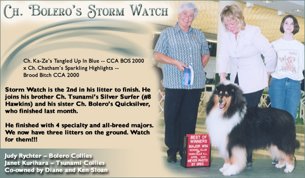Bolero Collies -- Ch. Bolero's Storm Watch