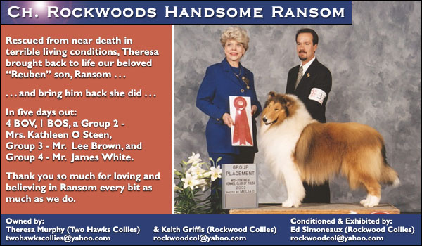 Rockwood Collies -- Ch. Rockwood's Handsome Ransom