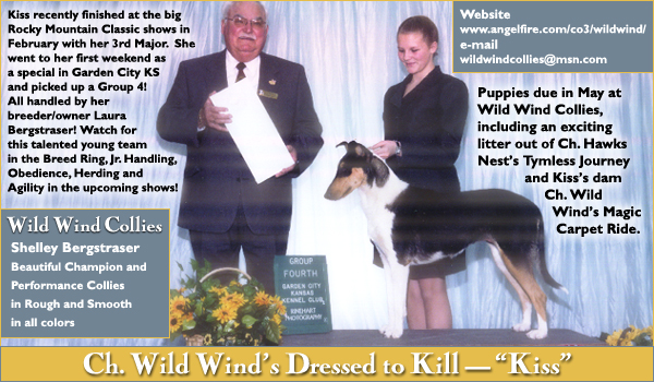 Wild Wind Collies -- Ch. Wild Wind's Dressed To Kill