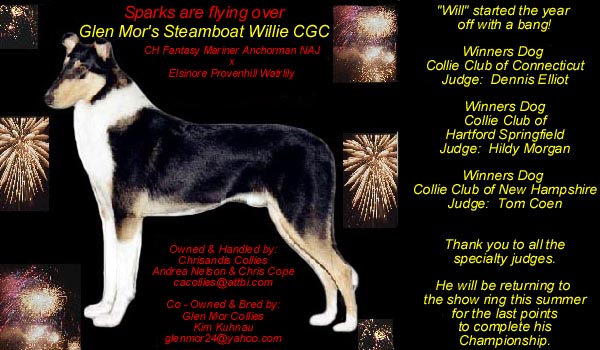 Chrisandis Collies -- Glen Mor's Steamboat Willie, CGC