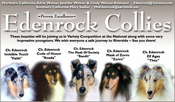 Edenrock Collies -- Ch. Edenrock Invisible Touch/Ch. Edenrock Code of Honor/Ch. Edenrock The Mask of Society/Ch.Edenrock Mask of Zorro/Ch. Edenrock of Ages