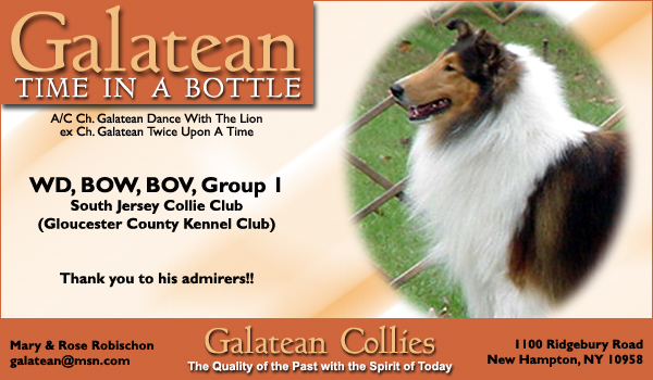 Galatean Collies -- Galatean Time In A Bottle