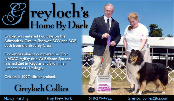 Greyloch Collies -- Greyloch's Home By Dark