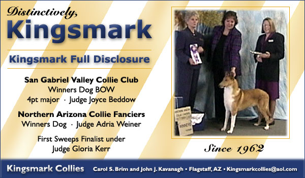 Kingsmark Collies -- Kingsmark Full Disclosure