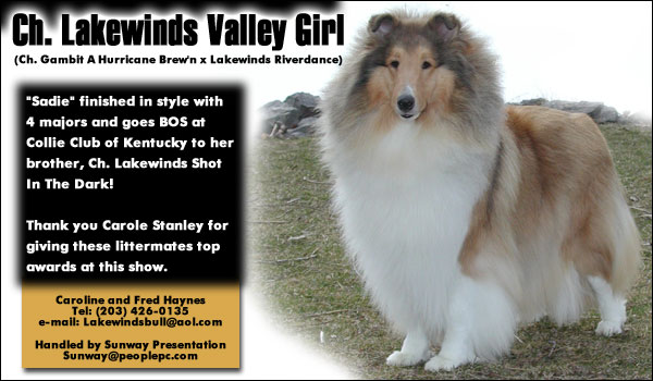 Lakewinds Collies -- Ch. Lakewinds Valley Girl 