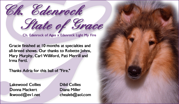 Lakewood Collies -- Ch. Edenrock State of Grace