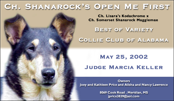 Shanarock Collies – Ch. Shanarock Open Me First
