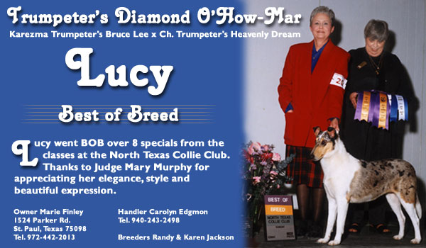 Trumpeter's Diamond O'How-Mar -- Owner Marie Finley