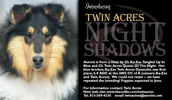 Twin Acres Collies -- Twin Acres Night Shadow 