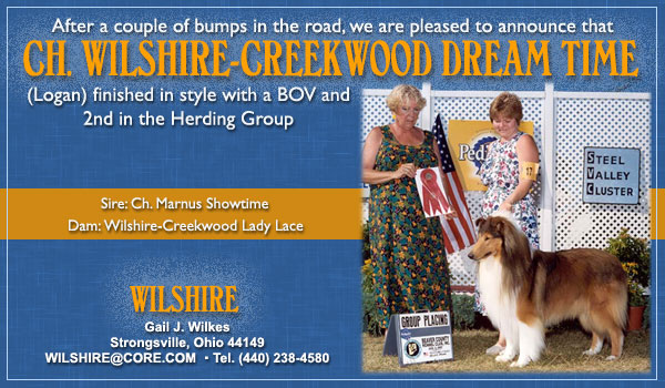 Wilshire Collies -- Ch. Wilshire-Creekwood Dream Time