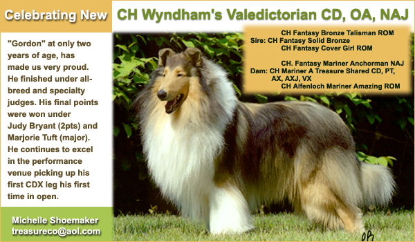 Wyndham Collies -- Ch. Wyndham's Valedictorian CD,OAJ,NAJ