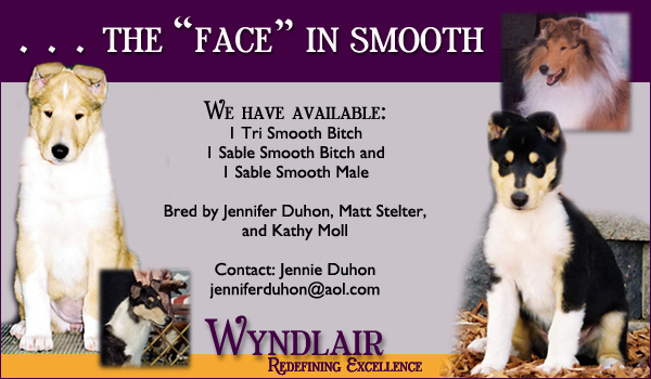 Wyndlair Colles: The Face in Smooths