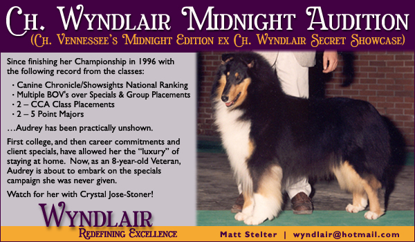 Wyndlair Collies -- Ch. Wyndlair Midnight Audition
