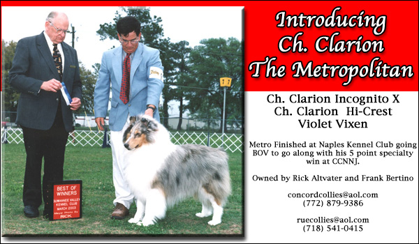 Ch. Clarion The Metropolitan