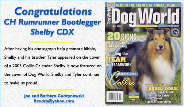 Ch. Rumrunner Bootlegger Shelby CDX