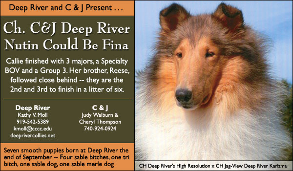 Ch. C&J Deep River Nutin Could Be Fina