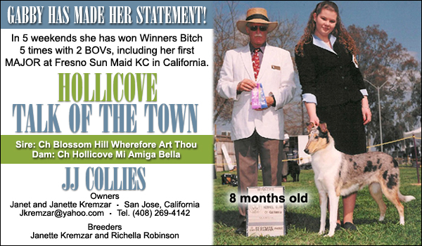 Hollicove Talk of the Town