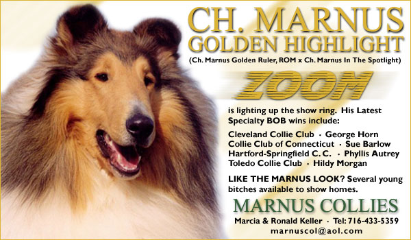 Ch. Marnus Golden Highlight