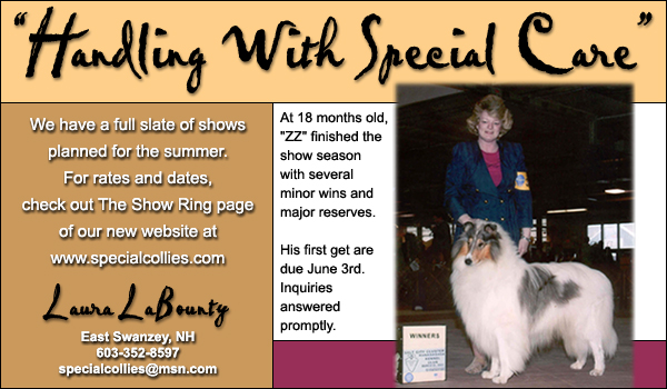 Special Collies -- Laura LaBounty