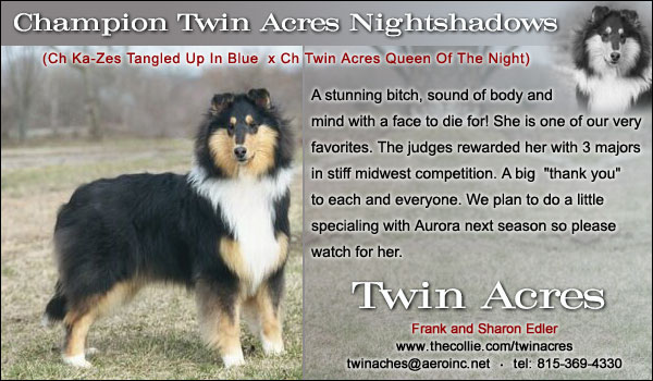 Ch. Twin Acres Nightshadows