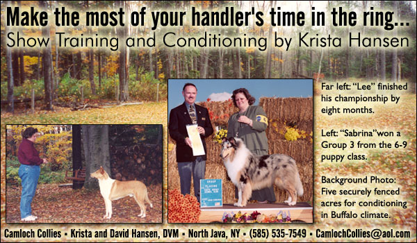 Show training and conditioning by Krista Hansen