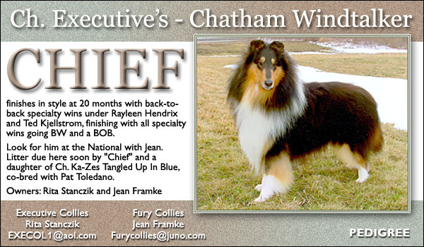 Ch. Executive's - Chatham Windtalker