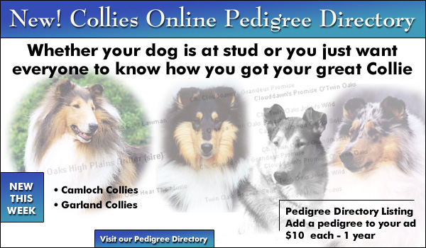 Collies Online Pedigree Directory