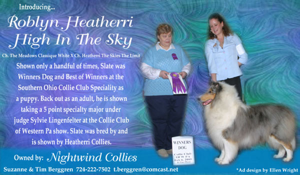Roblyn Heatherri High In The Sky