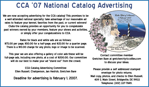 2007 National Catalog Advertising