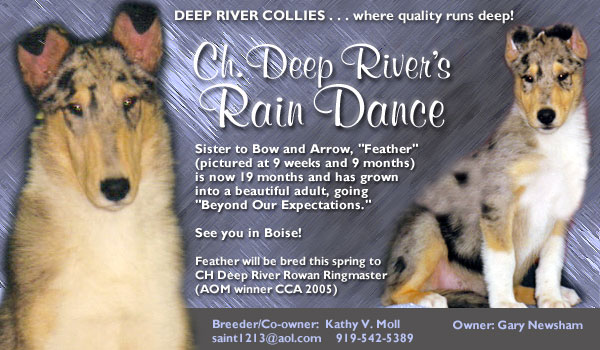 Ch. Deep River's Rain Dance