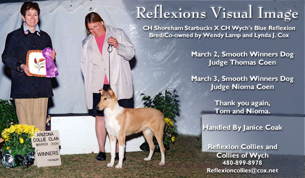 Reflexion Collies and Collies of Wych -- Reflexions Visual Image