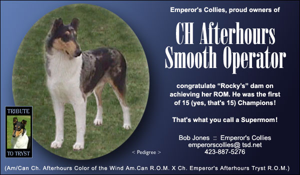Ladyvale -- CH LadyvaleEmperors Collies -- CH Afterhours Smooth Operator