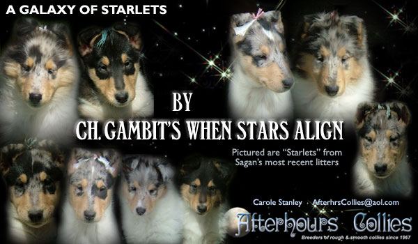 Afterhours -- CH Gambit's When Stars Align
