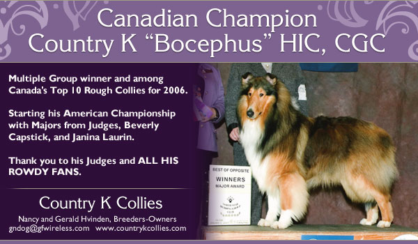 Country K Collies -- CAN CH Country K 