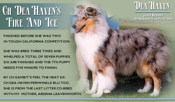 Dea Haven -- CH Dea Haven's Fire And Ice