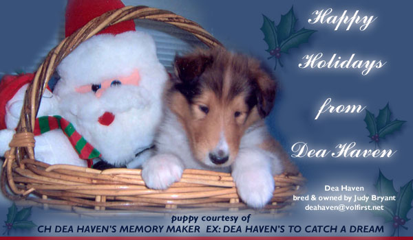Happy Holidays from Dea Haven Collies