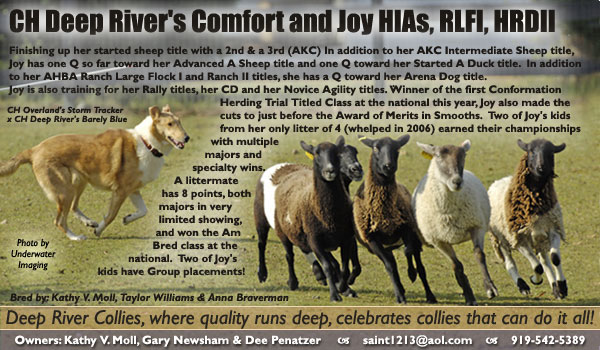 Deep River -- CH Deep River's Comfort and Joy HIAs, RLFI, HRDDII