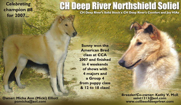 Deep River Collies -- CH Deep River Northshield Soliel