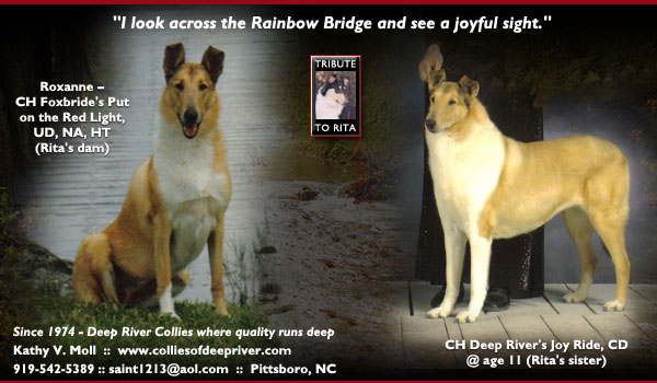Deep River -- CH Foxbride's Put On The Red Light, UD, NA, HT and CH Deep River's Joy Ridge, CD