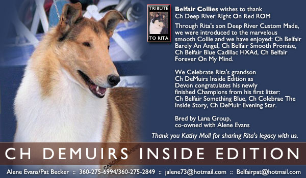 Belfair -- CH Demuirs Inside Edition