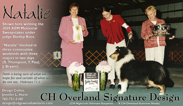 Design -- CH Overland Signature Design