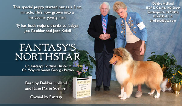 Fantasy -- Fantasy's Northstar