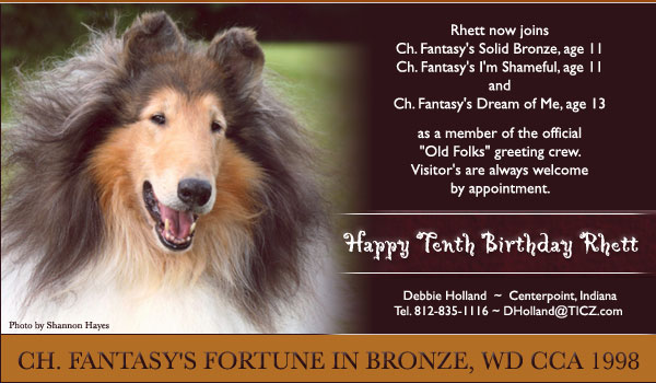 Fantasy -- CH Fantasy's Fortune In Bronze