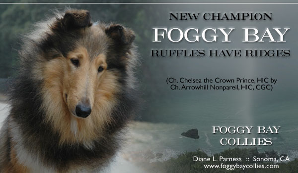 Foggy Bay -- CH Foggy Bay Ruffles Have Ridges
