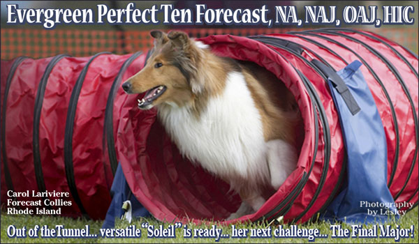 Forecast --Evergreen Perfect Ten Forecast, NA, NAJ, OAJ, HIC