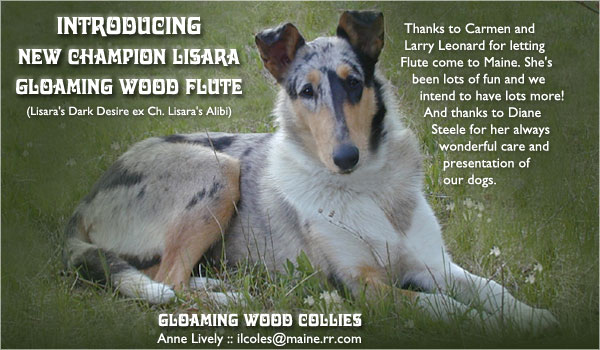 Gloaming Wood -- CH Lisara Gloaming Wood Flute